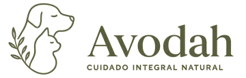 Avodah