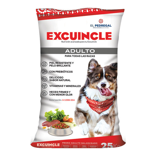 Excuincle adulto