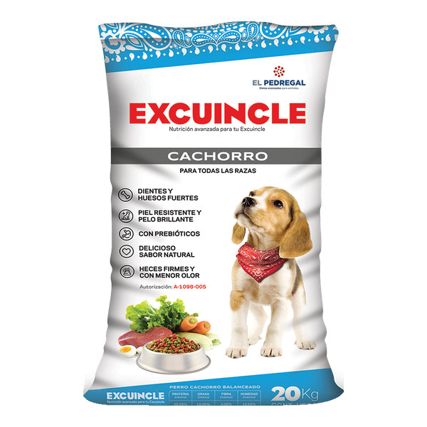 Excuincle cachorro